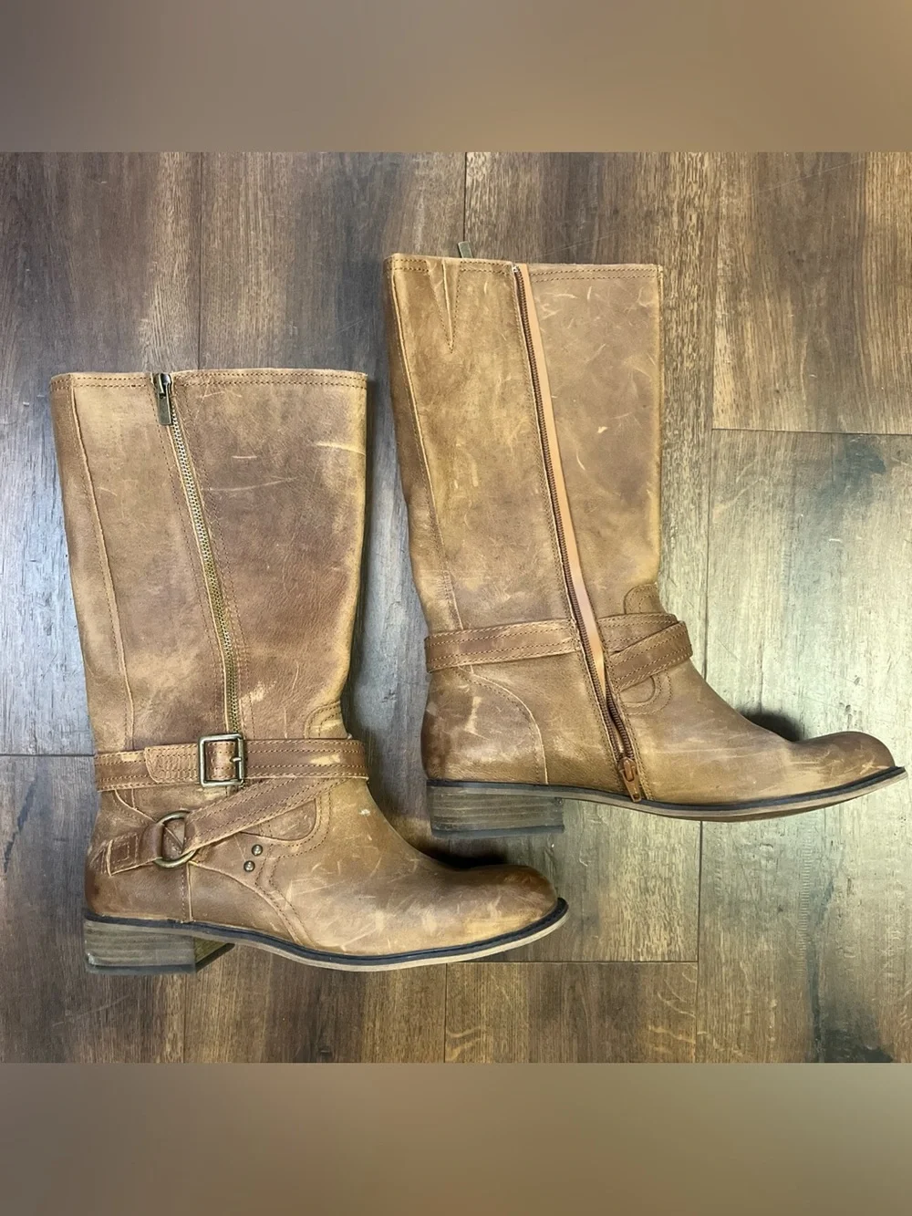 Gianni Bini Brown Knee High Riding Boots Zip Buckle Gingerbread Movin Up Sz 10M